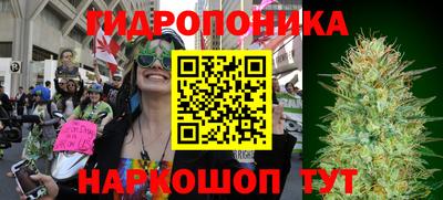 эйфоретик Бузулук